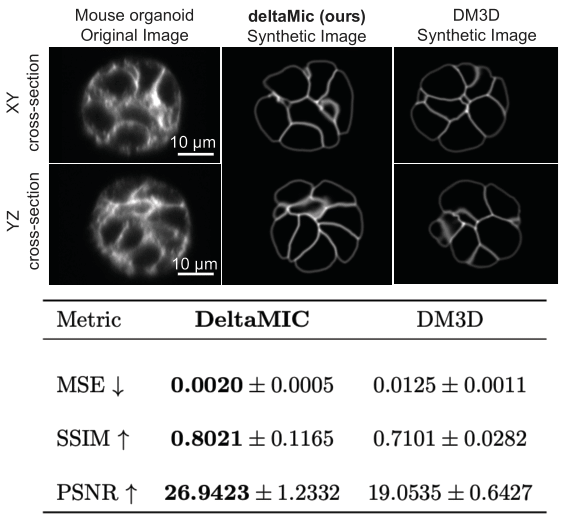 DM3D vs deltaMic